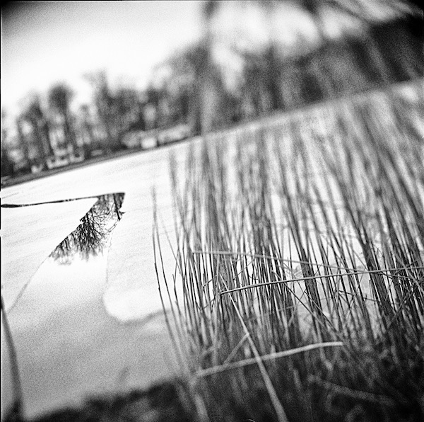 Reflection in the Ice Congress Lake Ohio 