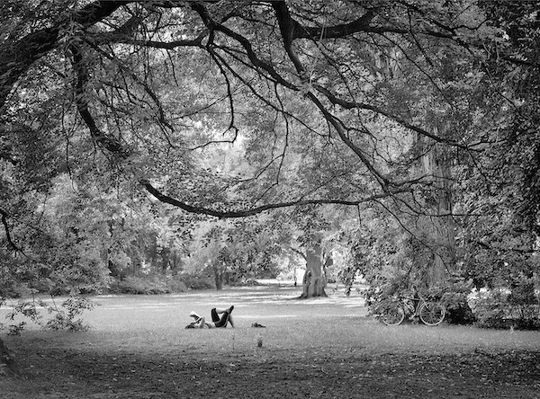 Lounging Under Tree Budapest